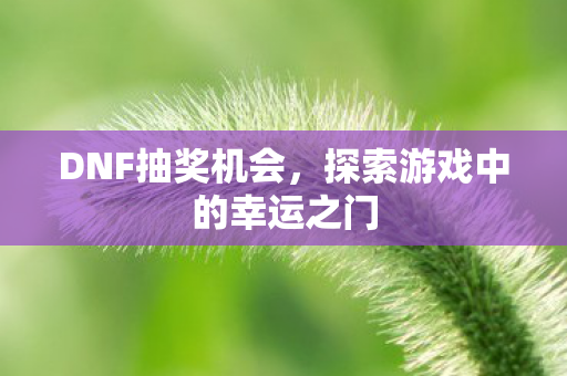 DNF抽奖机会，探索游戏中的幸运之门