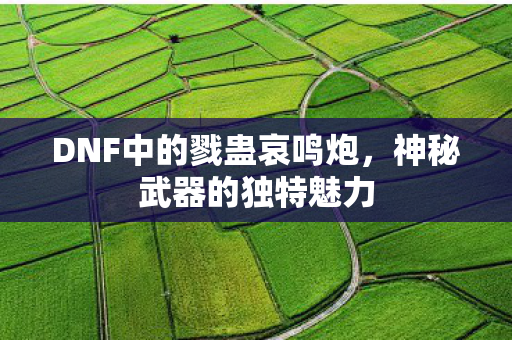 DNF中的戮蛊哀鸣炮，神秘武器的独特魅力