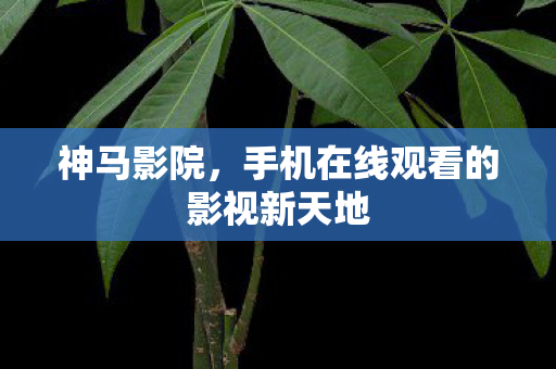 神马影院,手机在线观看的影视新天地 神马影院,手机在线观看的影视新天地