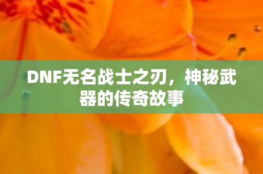DNF无名战士之刃,神秘武器的传奇故事 DNF无名战士之刃,神秘武器的传奇故事