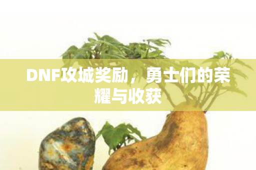 DNF攻城奖励,勇士们的荣耀与收获 DNF攻城奖励,勇士们的荣耀与收获