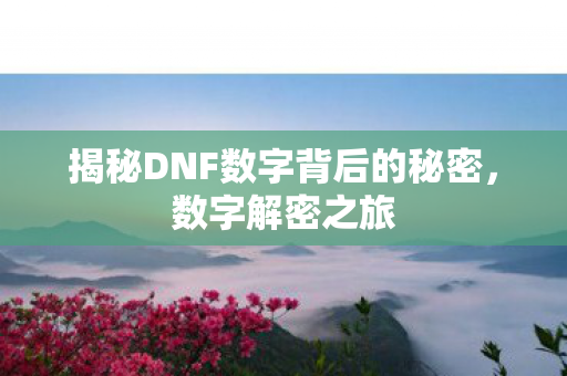 揭秘DNF数字背后的秘密,数字解密之旅 揭秘DNF数字背后的秘密,数字解密之旅