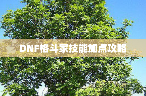 DNF格斗家技能加点攻略 DNF格斗家技能加点攻略