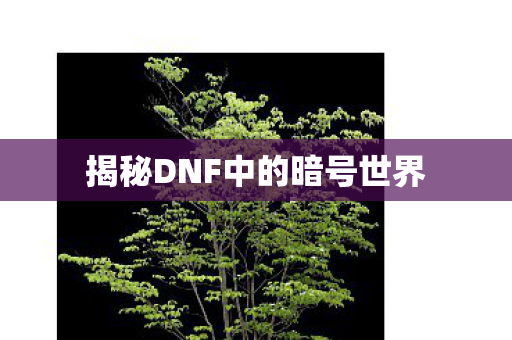 揭秘DNF中的暗号世界 揭秘DNF中的暗号世界