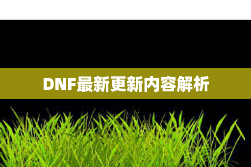 DNF最新更新内容解析