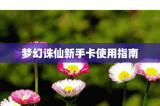 梦幻诛仙新手卡使用指南 梦幻诛仙新手卡使用指南