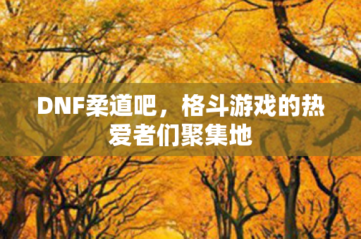 DNF柔道吧，格斗游戏的热爱者们聚集地