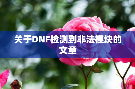 关于DNF检测到非法模块的文章