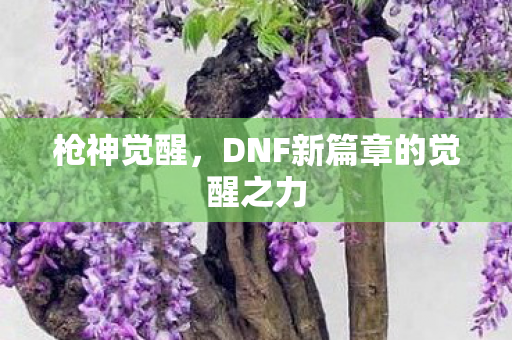 枪神觉醒，DNF新篇章的觉醒之力