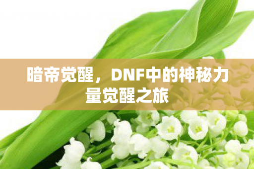 暗帝觉醒,DNF中的神秘力量觉醒之旅 暗帝觉醒,DNF中的神秘力量觉醒之旅