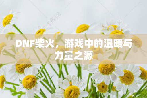 DNF柴火，游戏中的温暖与力量之源