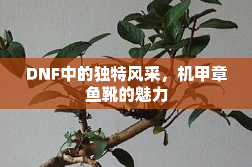 DNF中的独特风采，机甲章鱼靴的魅力