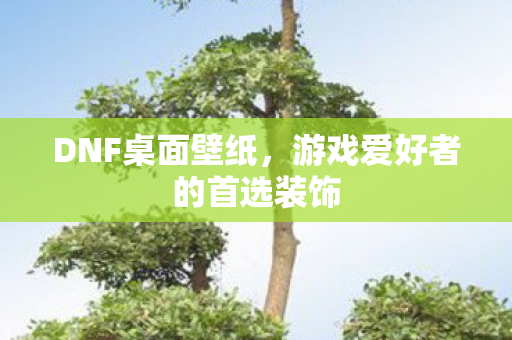 DNF桌面壁纸,游戏爱好者的首选装饰 DNF桌面壁纸,游戏爱好者的首选装饰