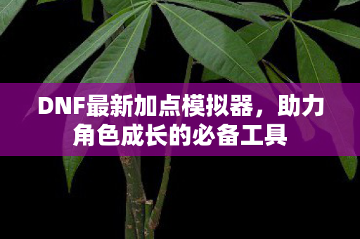 DNF最新加点模拟器，助力角色成长的必备工具