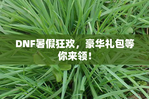 DNF暑假狂欢，豪华礼包等你来领！