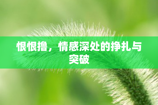 恨恨撸，情感深处的挣扎与突破