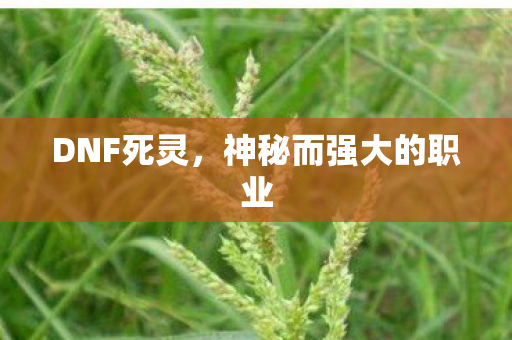 DNF死灵，神秘而强大的职业