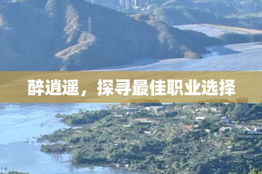 醉逍遥，探寻最佳职业选择