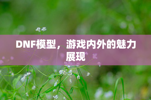 DNF模型,游戏内外的魅力展现 DNF模型,游戏内外的魅力展现