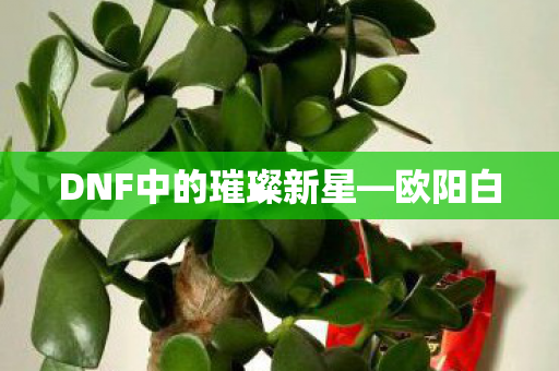 DNF中的璀璨新星—欧阳白 DNF中的璀璨新星—欧阳白