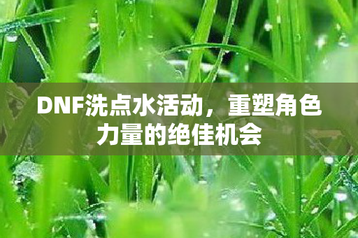 DNF洗点水活动，重塑角色力量的绝佳机会