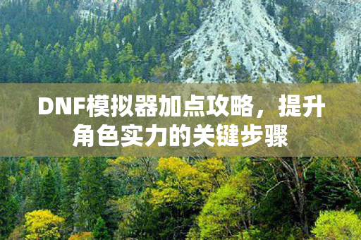 DNF模拟器加点攻略，提升角色实力的关键步骤