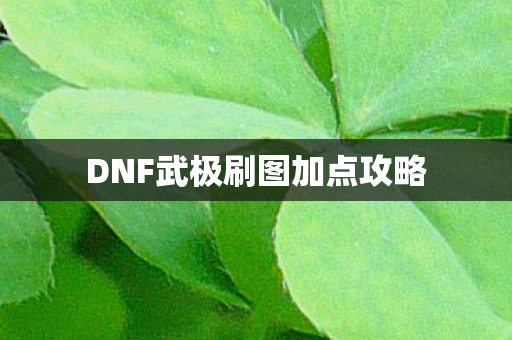 DNF武极刷图加点攻略