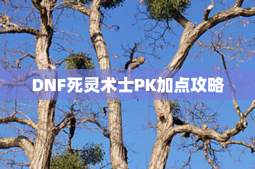 DNF死灵术士PK加点攻略 DNF死灵术士PK加点攻略