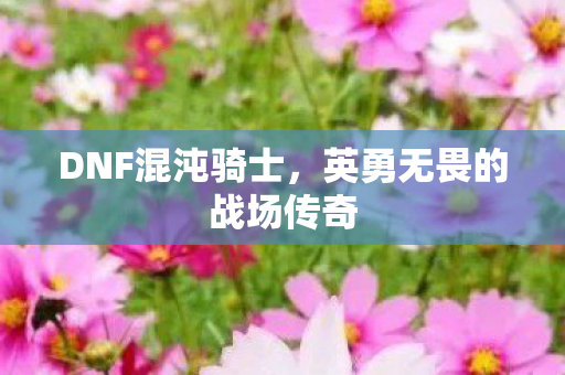 DNF混沌骑士，英勇无畏的战场传奇