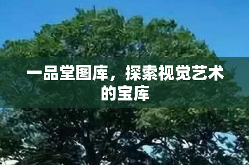 一品堂图库，探索视觉艺术的宝库