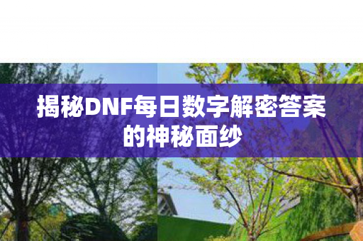 揭秘DNF每日数字解密答案的神秘面纱 揭秘DNF每日数字解密答案的神秘面纱