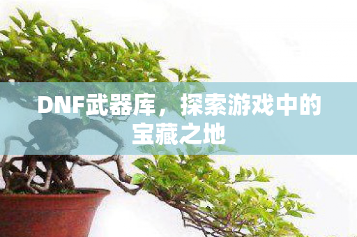 DNF武器库,探索游戏中的宝藏之地 DNF武器库,探索游戏中的宝藏之地