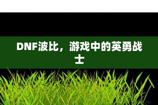 DNF波比,游戏中的英勇战士 DNF波比,游戏中的英勇战士