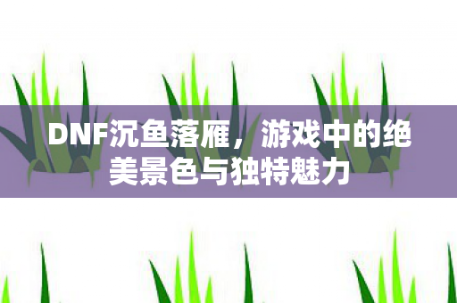 DNF沉鱼落雁,游戏中的绝美景色与独特魅力 DNF沉鱼落雁,游戏中的绝美景色与独特魅力