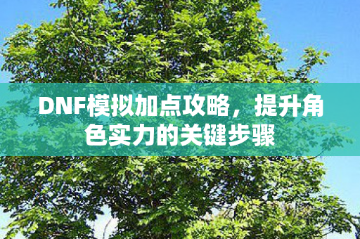 DNF模拟加点攻略，提升角色实力的关键步骤