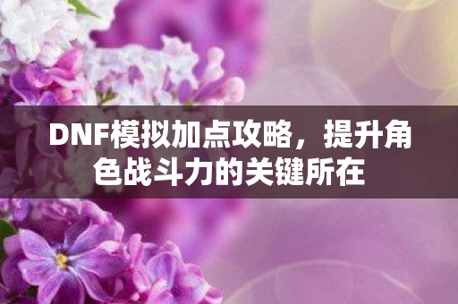 DNF模拟加点攻略,提升角色战斗力的关键所在 DNF模拟加点攻略,提升角色战斗力的关键所在