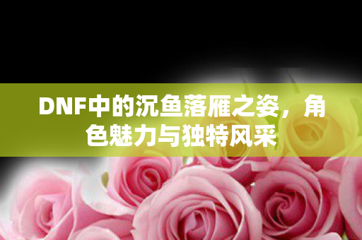 DNF中的沉鱼落雁之姿，角色魅力与独特风采