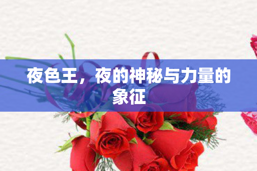 夜色王，夜的神秘与力量的象征
