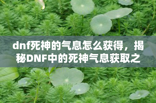dnf死神的气息怎么获得，揭秘DNF中的死神气息获取之道