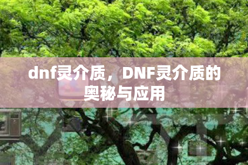 dnf灵介质,DNF灵介质的奥秘与应用 dnf灵介质,DNF灵介质的奥秘与应用