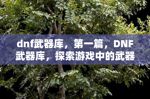 dnf武器库,第一篇,DNF武器库,探索游戏中的武器世界 dnf武器库,第一篇,DNF武器库,探索游戏中的武器世界