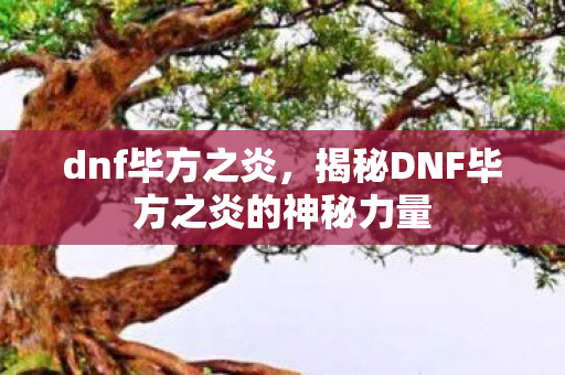 dnf毕方之炎，揭秘DNF毕方之炎的神秘力量
