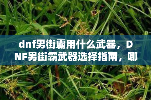 dnf男街霸用什么武器，DNF男街霸武器选择指南，哪些武器最适合男街霸角色？