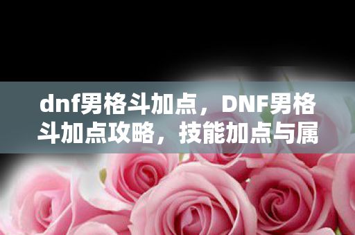 dnf男格斗加点，DNF男格斗加点攻略，技能加点与属性分配指南