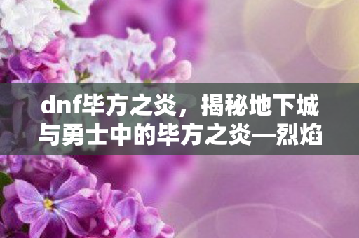 dnf毕方之炎，揭秘地下城与勇士中的毕方之炎—烈焰中的无尽力量