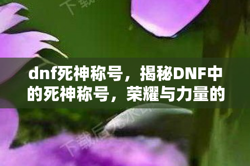 dnf死神称号,揭秘DNF中的死神称号,荣耀与力量的象征 dnf死神称号,揭秘DNF中的死神称号,荣耀与力量的象征