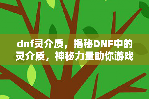 dnf灵介质,揭秘DNF中的灵介质,神秘力量助你游戏飞升 dnf灵介质,揭秘DNF中的灵介质,神秘力量助你游戏飞升