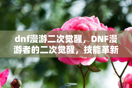 dnf漫游二次觉醒，DNF漫游者的二次觉醒，技能革新与战斗进阶