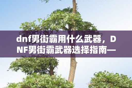 dnf男街霸用什么武器，DNF男街霸武器选择指南—最适合男街霸的武器推荐