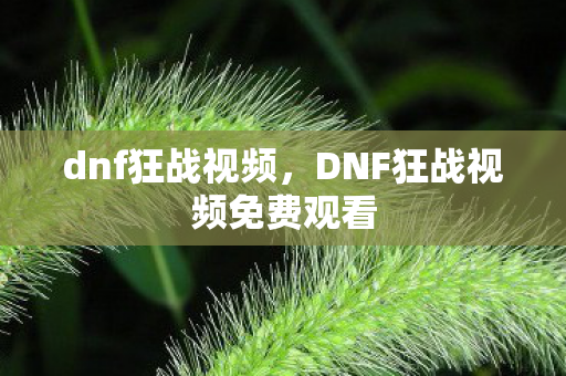 dnf狂战视频,DNF狂战视频免费观看 dnf狂战视频,DNF狂战视频免费观看